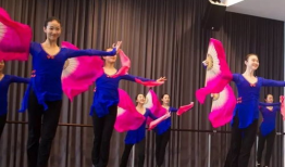 中国舞视频,探寻中国舞之美